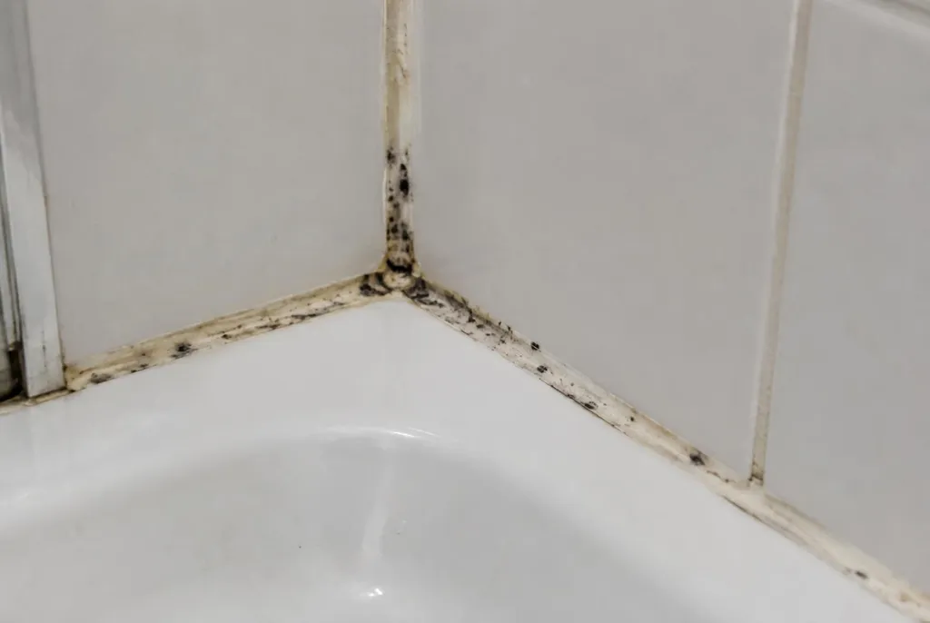 Kitbedrijf Krimpen aan den IJssel – beschimmelde kitranden